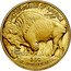 USA $50 American Buffalo 2020 W Proof KM# 393 UNITED STATES OF AMERICA E PLURIBUS UNUM $50 1OZ. .9999 FINE GOLD IN GOD WE TRUST coin reverse