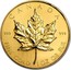 Canada 50 Dollars Maple Leaf 1981 KM# 125.1 CANADA 999 999 FINE GOLD 1 OZ OR PUR coin reverse