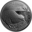 New Zealand 1 Dollar Kiwi Specimen 2018 LITTLE SPOTTED KIWI APTERYX OWENII ONE DOLLAR coin reverse
