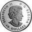 Canada 10 Dollars Dog Sledding Under the Northern Lights 2017 Proof ELIZABETH D G REGINA 10 DOLLARS coin obverse