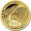 New Zealand $10 Icons of New Zealand - Brown Kiwi 2015 BROWN KIWI APTERYX MANTELLI $10 coin reverse