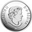 Canada 25 Cents 150th Anniversary of Canada - Bird - Turtle & Beaver 2017 UNC ELIZABETH II D G REGINA SB coin obverse