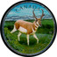 Canada 5 Dollars Wildlife Series - Pronghorn 2013 UNC CANADA FINE SILVER 1 OZ ARGENT PUR 9999 coin reverse
