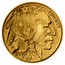 USA $5 American Buffalo 2008 W KM# 411 LIBERTY W 2008 coin obverse