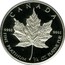 Canada 10 Dollars (Maple Leaf) KM# 165 CANADA 9995 9995 FINE PLATINUM 1/4 OZ PLATINE PUR coin reverse
