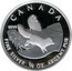 Canada 3 Dollars Arctic Fox 2004 Proof KM# 1415 CANADA 9999 CD FINE SILVER 1/4 OZ ARGENT PUR coin reverse