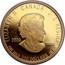 Canada 350 Dollars Pitcher Plant 2009 Proof KM# 901 ELIZABETH II CANADA D ∙ G ∙ REGINA 2009 .99999 FINE GOLD 350 DOLLARS OR PUR coin obverse
