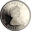 Canada 50 Dollars Maple Leaf 1989 Proof KM# 167 ELIZABETH II 50 DOLLARS 1989 coin obverse