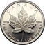 Canada 50 Dollars Maple Leaf 1989 Proof KM# 167 CANADA 9995 9995 FINE PLATINUM 1 OZ PLATINE PUR coin reverse
