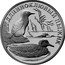 Russia Rouble Marbled Murrelet 2005 Proof Y# 882 ДЛИННОКЛЮВЫЙ ПЫЖИК coin reverse