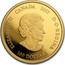 Canada 100 Dollars Raven Brings the Light 2017 ELIZABETH II D. G. REGINA CANADA 2017 100 DOLLARS coin obverse
