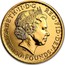 UK 100 Pounds Britannia 2014 ELIZABETH II D G REG FID DEF 100 POUNDS IRB coin obverse