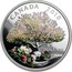 Canada 15 Dollars Celebration of Spring - Apple Blossoms 2018 CANADA 15 DOLLARS coin reverse