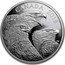 Canada 15 Dollars Magnificent Bald Eagles 2018 CANADA 2018 coin reverse