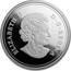 Canada 20 Dollars Arctic Coast 2017 ELIZABETH II D G REGINA coin obverse