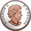 Canada 20 Dollars Best Wishes on Your Wedding Day 2017 Proof ELIZABETH II D G REGINA coin obverse
