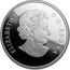 Canada 20 Dollars Platinum Celebration 2017 ELIZABETH II D G REGINA coin obverse