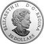 Canada 20 Dollars Queen Elizabeth II's Maple Leaves Brooch 2018 ELIZABETH II D • G • REGINA 20 DOLLARS SB coin obverse