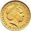 UK 25 Pounds (Britannia) ELIZABETH'II'D'G REG'FID'DEF '25'POUNDS' IRB coin obverse