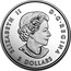 Canada 3 Dollars 100th Anniv of the Toronto Maple Leafs 2017 ELIZABETH II CANADA D∙G∙REGINA 3 DOLLARS coin obverse