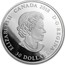 Canada 30 Dollars Arctic Animals & Northern Lights Snowy Owl 2018 ELIZABETH II D. G. REGINA CANADA 30 DOLLARS 2018 coin obverse