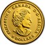 Canada 5 Dollars Special Service Force 2016 ELIZABETH II CANADA D G REGINA 5 DOLLARS coin obverse