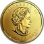 Canada 50 Cents Maple Leaf - Maplegram 25 2017 ELIZABETH II 50 CENTS 2017 coin obverse