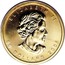 Canada 50 Dollars Maple Leaf 2005 200 were melted down ELIZABETH II 50 DOLLARS 2005 coin obverse