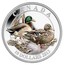 Canada 10 Dollars Ducks of Canada - Mallard 2013 Proof KM# 1355 CANADA 10 DOLLARS 2013 coin reverse