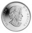 Canada 10 Dollars Twelve-Spotted Skimmer 2013 Proof KM# 1393 ELIZABETH II D ∙ G ∙ REGINA coin obverse