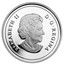Canada 10 Dollars Vintage Superman 2013 Proof KM# 1445 ELIZABETH II D ∙ G ∙ REGINA coin obverse