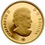 Canada 100 Dollars 10th Anniversary of Nunavut 2009 Proof KM# 898 ELIZABETH II D ∙ G ∙ REGINA coin obverse