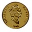 Canada 100 Dollars Literacy 1990 Proof KM# 171 ELIZABETH II D ∙ G ∙ REGINA 1990 coin obverse