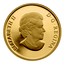 Canada 100 Dollars The Discovery of Hudson's Bay 2010 Proof KM# 997 ELIZABETH II D ∙ G ∙ REGINA coin obverse