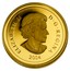 Canada 100 Dollars The St. Lawrence Seaway Construction 2004 Proof KM# 528 ELIZABETH II D ∙ G ∙ REGINA 2004 coin obverse