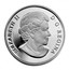 Canada 20 Dollars 75th Anniversary of the first banknotes 2010 Proof KM# 1009 ELIZABETH II D ∙ G ∙ REGINA coin obverse