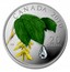 Canada 20 Dollars Crystal Raindrop 2010 Proof KM# 1013 CANADA 2010 20 DOLLARS coin reverse
