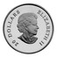 Canada 20 Dollars Crystal Snowflake - Blue 2010 Proof KM# 1048 20 DOLLARS ELIZABETH II coin obverse