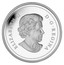 Canada 20 Dollars Holiday Season with Venetian Glass Candy Cane 2013 Proof KM# 1526 ELIZABETH II D G REGINA coin obverse
