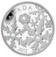 Canada 20 Dollars Holiday Snowstorm 2012 Proof KM# 1333 CANADA KW 2012 coin reverse