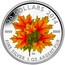 Canada 20 Dollars Maple Leaves - Glow in the Dark 2014 Proof KM# 1925 20 DOLLARS 2014 9999 9999 CG FINE SILVER 1 OZ ARGENT PUR coin reverse
