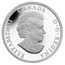 Canada 20 Dollars Polar Bear 2014 Proof KM# 1556 ELIZABETH II CANADA D ∙ G ∙ REGINA coin obverse