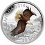 Canada 20 Dollars Soaring Bald Eagle 2014 Proof KM# 1737 CANADA 2014 CD 20 DOLLARS coin reverse