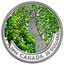 Canada 20 Dollars Spring Splendour 2014 Proof KM# 1763 MB 2014 CANADA 20 DOLLARS coin reverse