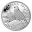 Canada 20 Dollars The Bald Eagle - Lifelong Mates 2013 Proof KM# 1510 CANADA 2013 20 DOLLARS coin reverse