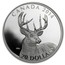 Canada 20 Dollars White-Tailed Deer - portrait 2014 Proof KM# 1745 CANADA 2014 20 DOLLARS coin reverse