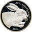 Belarus 20 Roubles Hare 2014 Proof KM# 483 LEPUS EUROPAEUS ЗАЯЦ coin reverse