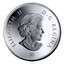 Canada 25 Cents Canadian Flag 2008 Prooflike KM# 772 ELIZABETH II D∙G∙REGINA coin obverse