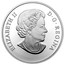 Canada 25 Dollars Arctic Fox and Northern Lights 2014 Proof KM# 1693 ELIZABETH II D ∙ G ∙ REGINA coin obverse