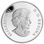 Canada 25 Dollars The First Royal Visit 2014 Proof KM# 1689 ELIZABETH II D G REGINA coin obverse